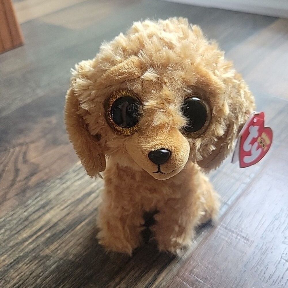 TY BEANIE BOO BOOS REGULAR 6" SIZE GOLDEN DOODLE Noodles 2023